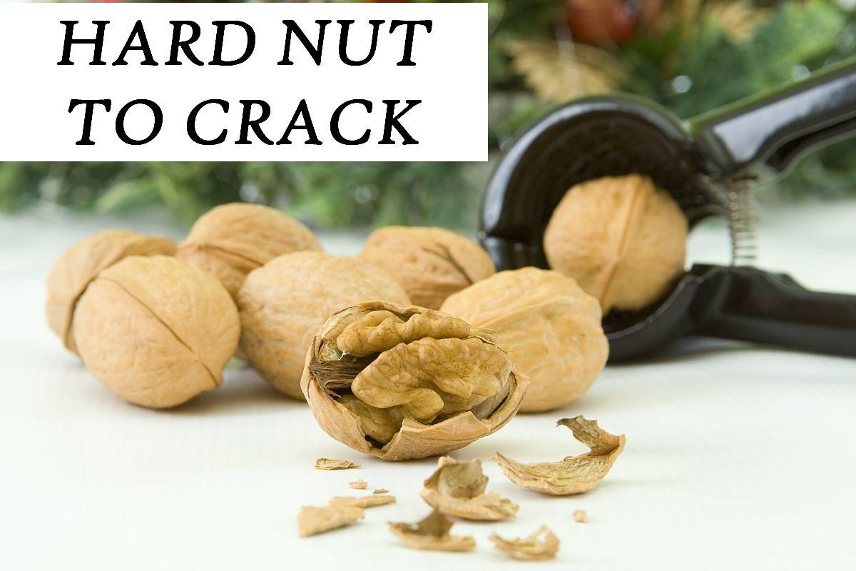 IDIOM HARD NUT TO CRACK English Course Malta