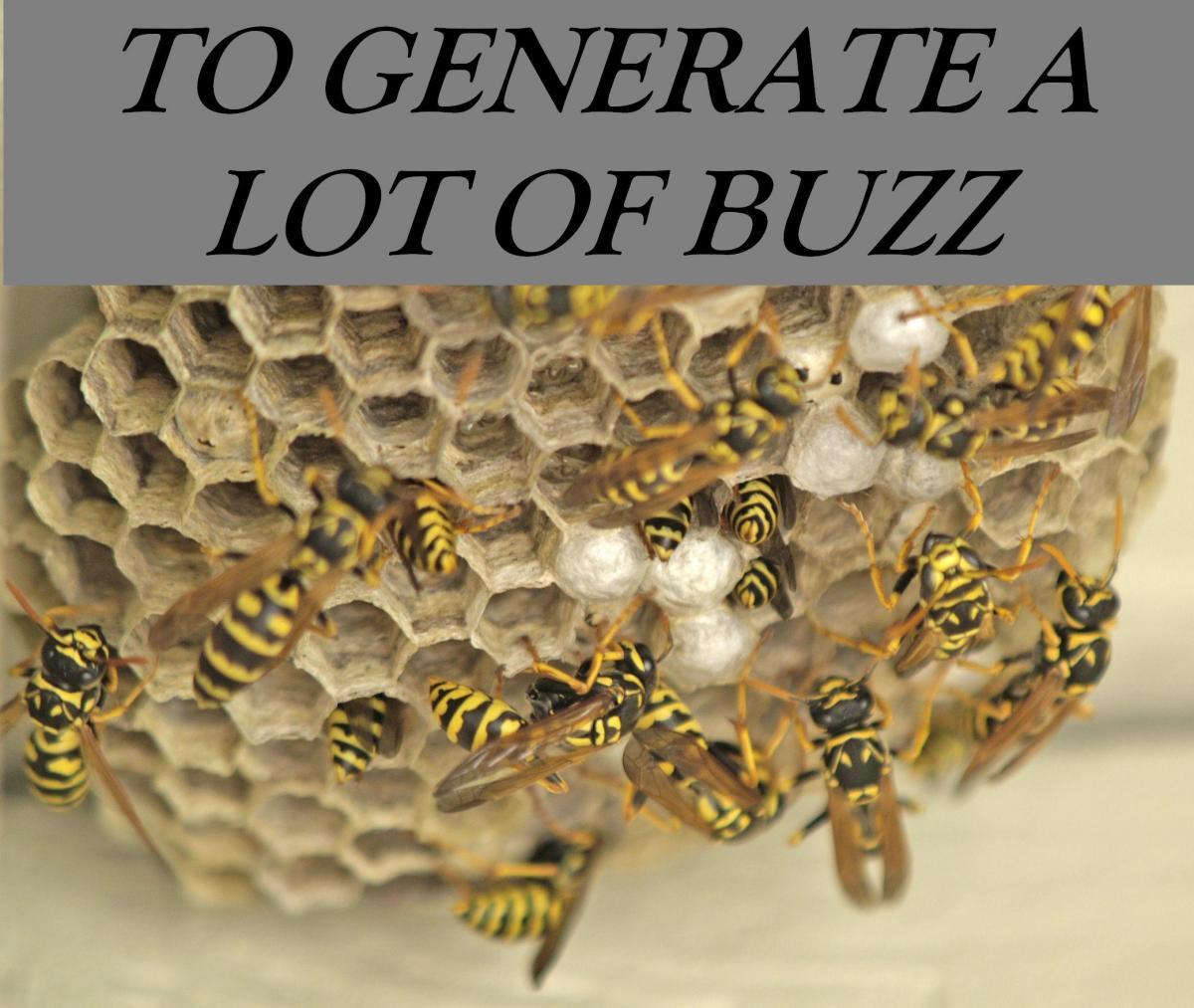 idiom-to-generate-buzz-english-course-malta