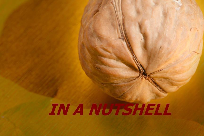 idiom-in-a-nutshell-english-course-malta